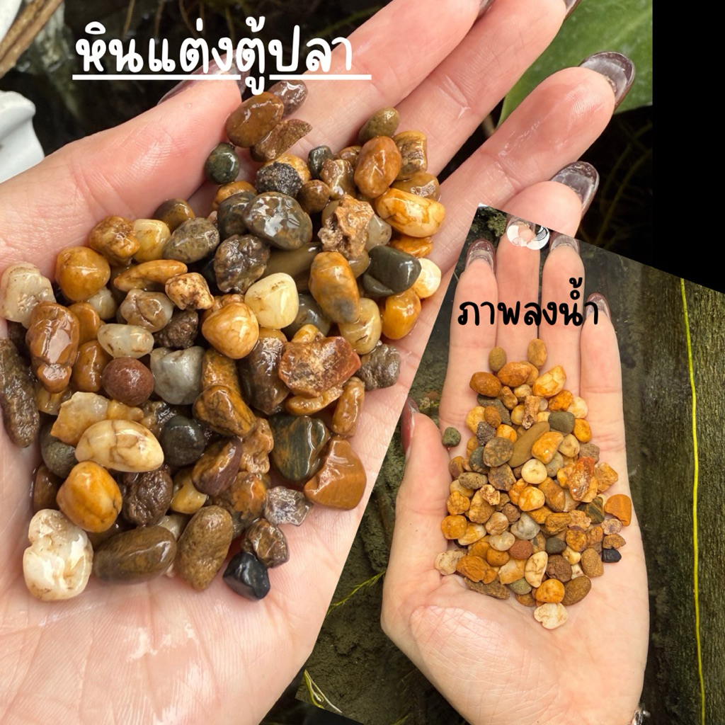 หิน 🪨แม่น้ำโขง  ลงน้ำสวยมากธรรมชาติ