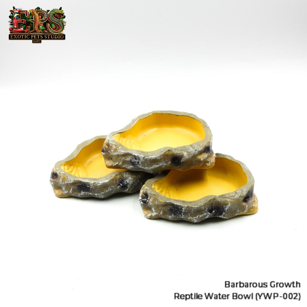 Reptile Water Bowl ถ้วยน้ำสำหรับสัตว์เลื้อยคลาน ชามน้ำแบบหินเทียม แข็งแรง ทนทาน