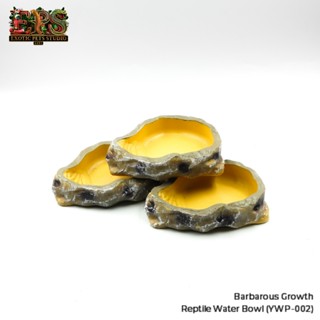 Reptile Water Bowl ถ้วยน้ำสำหรับสัตว์เลื้อยคลาน ชามน้ำแบบหิน…