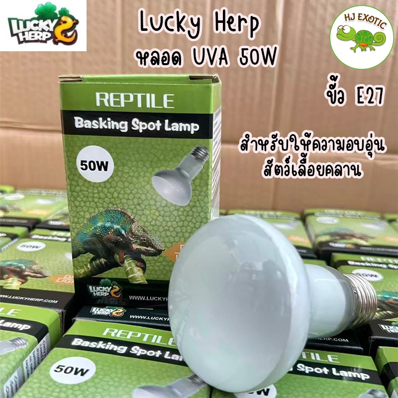 Lucky Herp หลอดUVA 50w หลอดให้ความอบอุ่นสัตว์เลื้อยคลาน