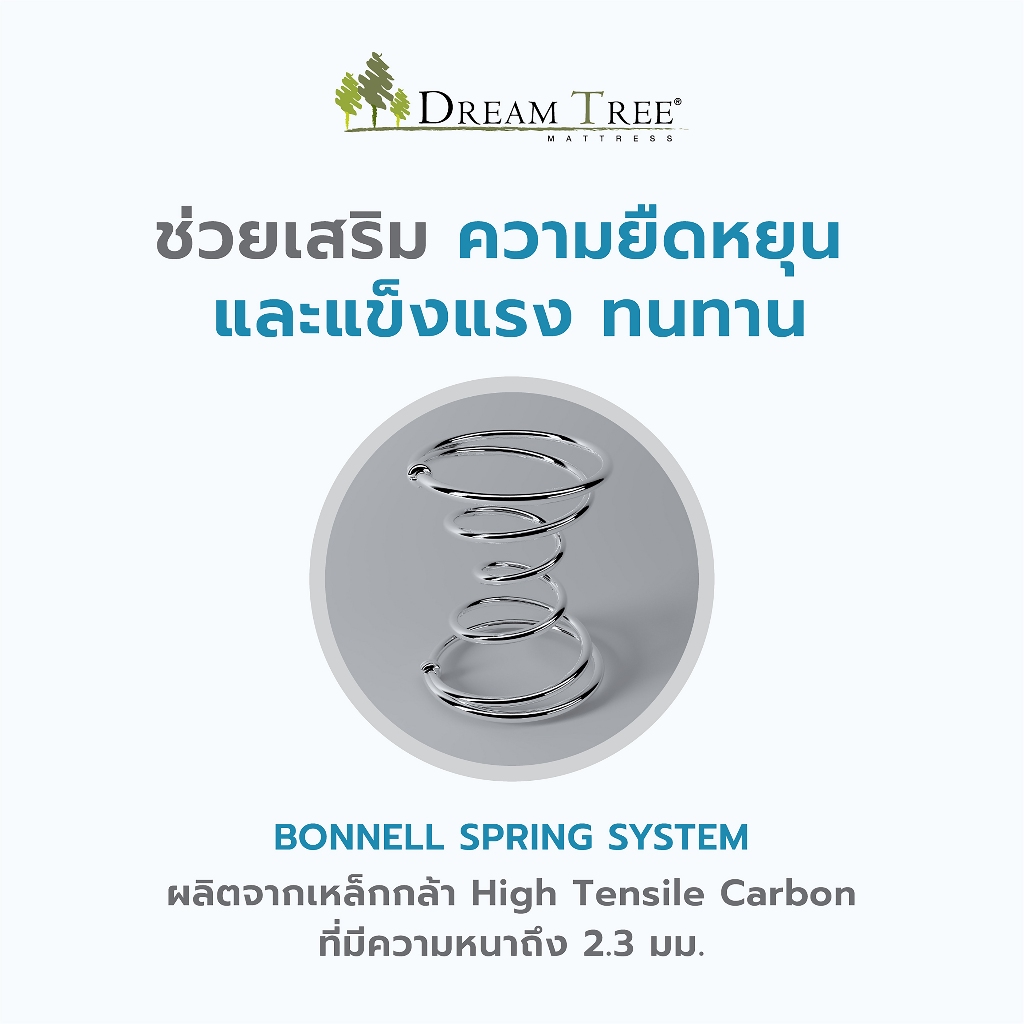 Dream Tree ที่นอนรุ่