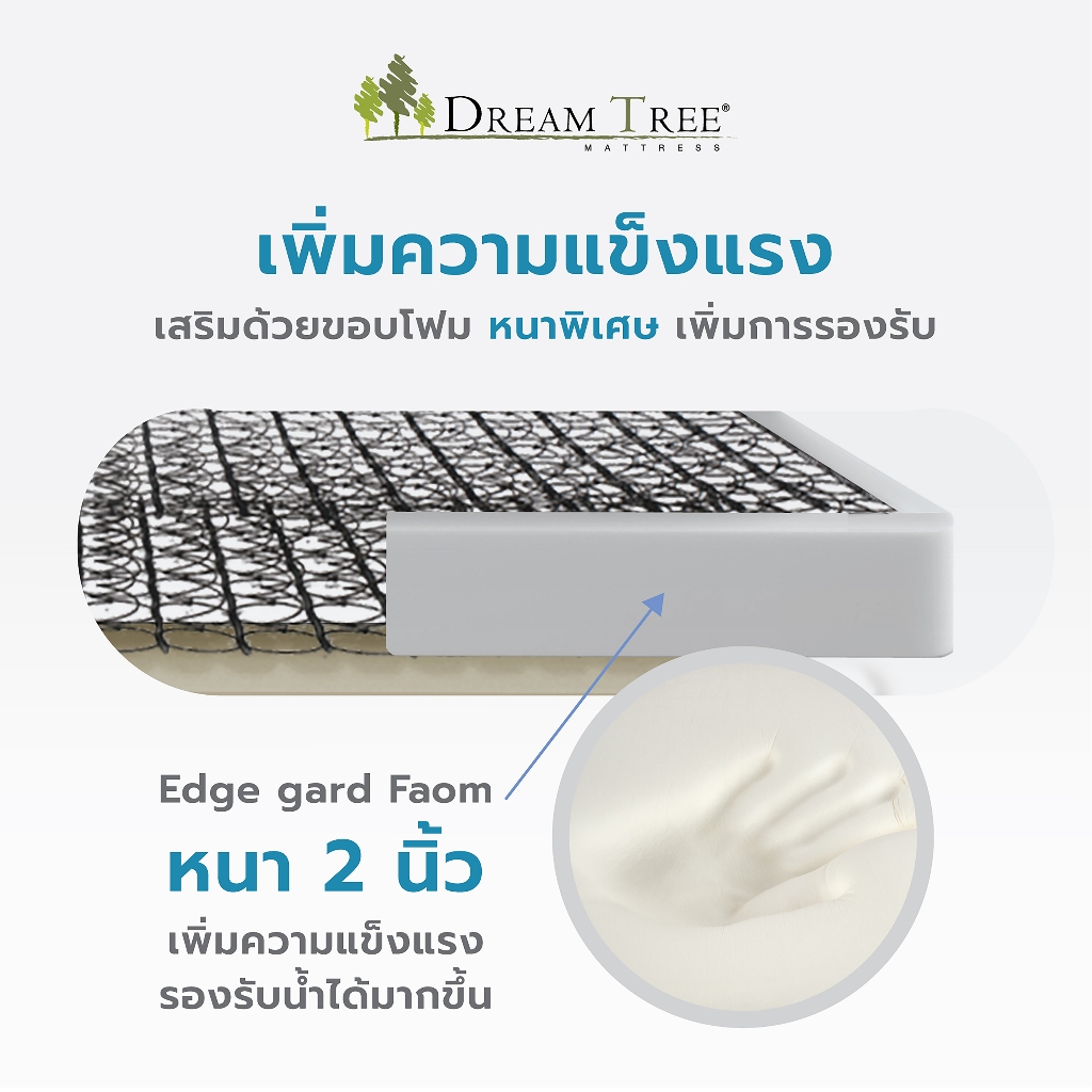 Dream Tree ที่นอนรุ่