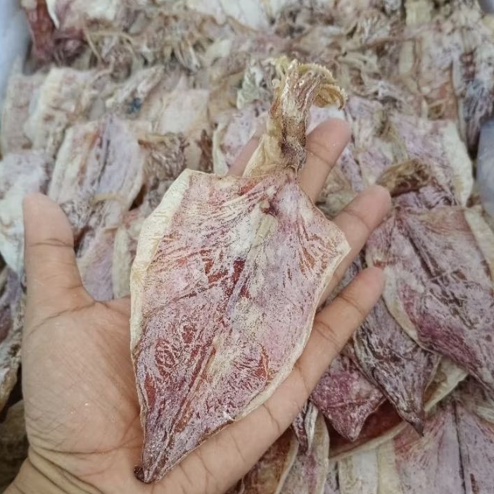 ส่งเร็ว🦑🦑หมึกผ่า ขนาด3-4นิ้ว บด ยืดได้ ราคาถูกกว่าทุกร้าน❎