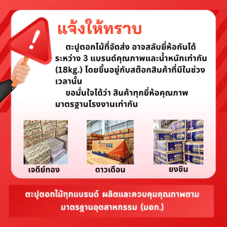 ตะปูตอกไม้ ยกลังทุกขนาด (18kg) ตะปู4x7นิ้ว ตะปู3x10นิ้ว ตะปู2นิ้ว ตะปู1นิ้ว nail ตะปู