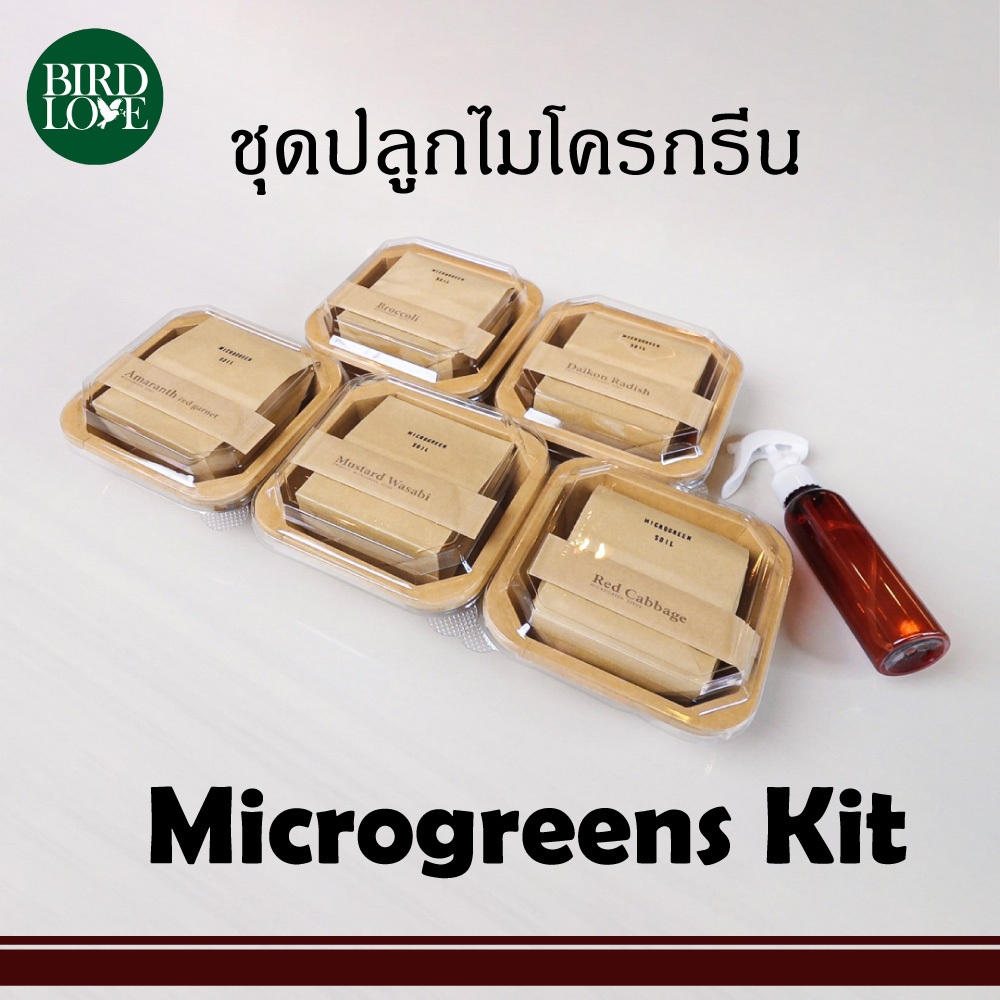 ชุดปลูกไมโครกรีน Microgreens Kit ในชุดปลูกจะแถมขวดฟ็อกกี้ กรุณาเลือกสีขวดฟ็อกกี้ก่อนกดสั่งซื้อให้ด้วยนะคะ ^ ^