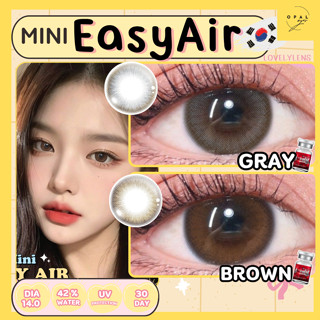Lovelylens ✨ Mini Easy Air คอนแทคเลนส์ ขนาดมินิ Brown / Gray