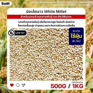 มิลเล็ตขาว White Millet USA เกรดA อาหารนกแก้ว และสัตว์ฟันแทะ…