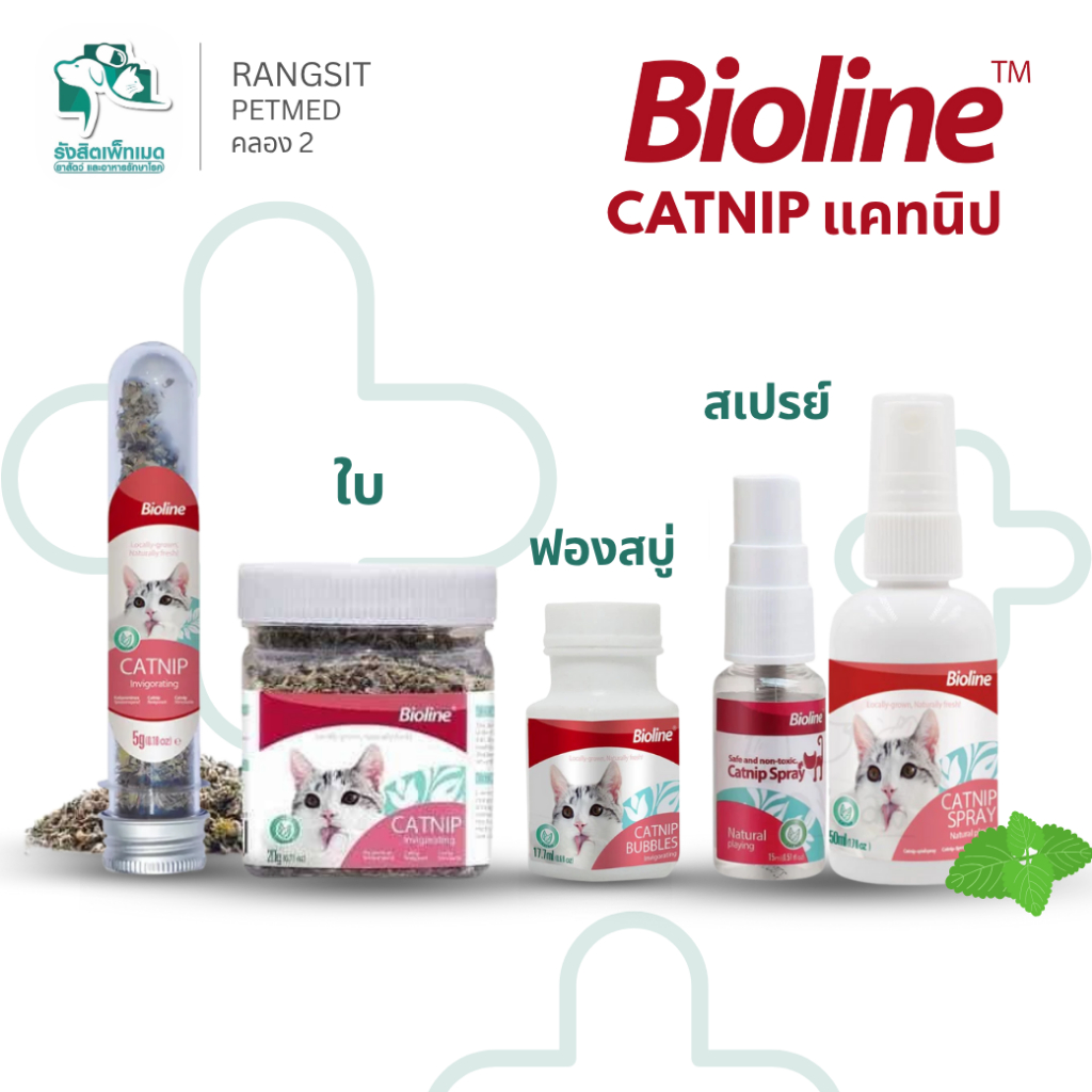 Bioline Catnip ของเล่นแมว แคทนิป แบบผง สเปรย์ บับเบิ้ลแบบเป่าฟองสบู่ ช่วยคลายเครียดแมว