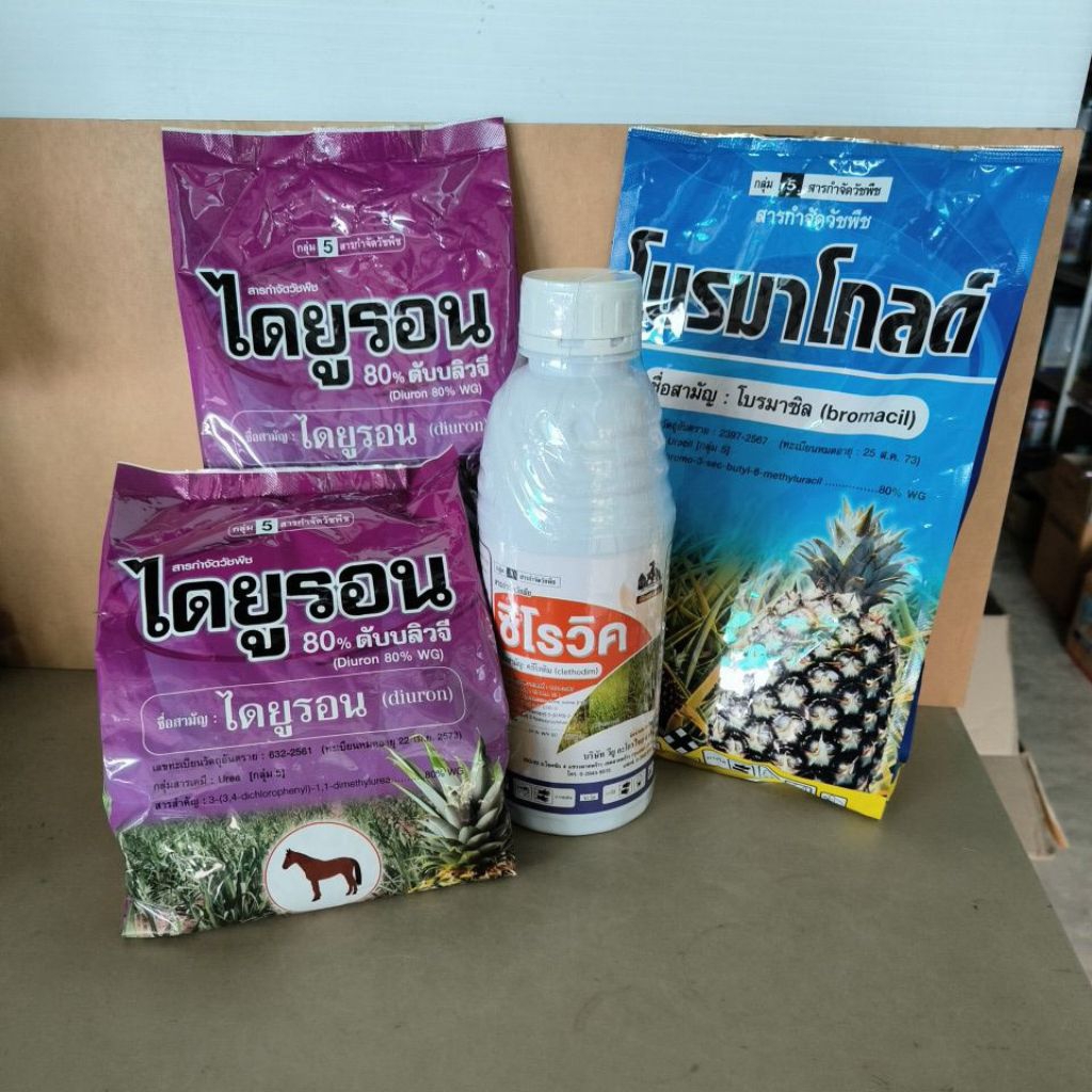 ยาฆ่าหญ้าในไร่สับปะรด(ชุด1000ลิตร)กำจัดหญ้าแก่ในสับปะรด