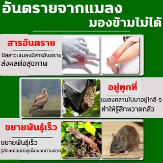 🦇 ขับไล่ค้างคาวได้ถึง100% ไล่ค้างคาว นำเข้าจากญี่ปุ่น ยาค้างคาว ค้าวคาว สัตว์ปีกทุกชนิด+แมลงทุกสายพันธุ์ ยาไล่ค้างคาว