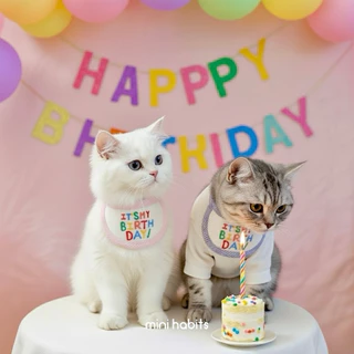 [🚚 พร้อมส่ง] ผ้ากันเปื้อนวันเกิดสัตว์เลี้ยง แมว สุนัข Birthday Bib Mouth Towel ผ้าพันคอแมว