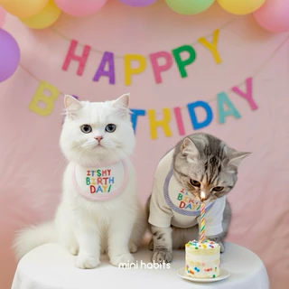 [🚚 พร้อมส่ง] ผ้ากันเปื้อนวันเกิดสัตว์เลี้ยง แมว สุนัข Birthday Bib Mouth Towel ผ้าพันคอแมว