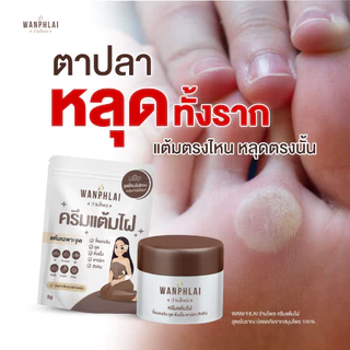 ครีมแต้มไฝ ว่านไพล ขี้แมลงวัน ติ่งเนื้อ หูด ตาปลา แก้ปัญหา สิวหิน ครีมกำจัดไฝว่านไพล ไฝ หูด จี้ไฝ แต้มไฝ ขนาด 5 กรัม