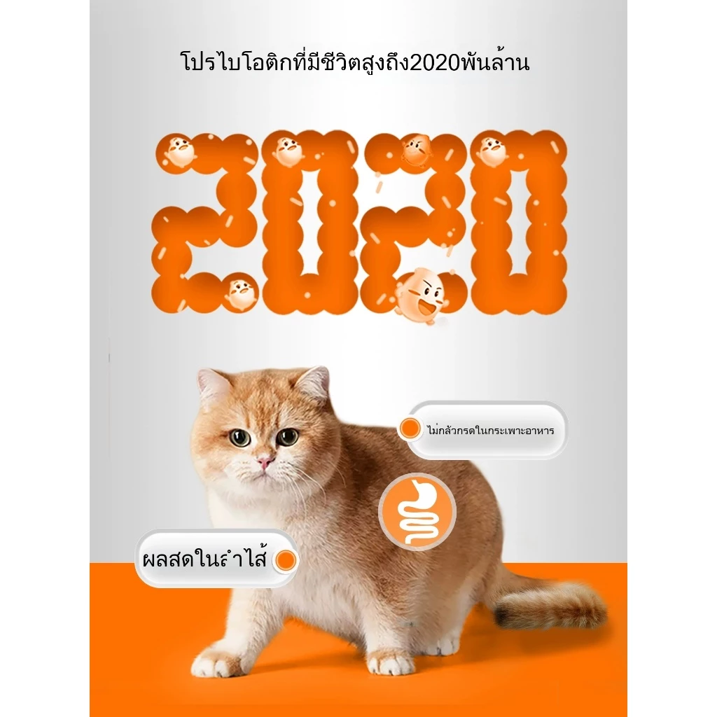 Ketzuzu อาหารเสริมสำหรับสัตว์เลี้ยง อาหารเสริมสำหรับแมว มัลติวิตามิน (เหมาะสำหรับสุนัขและแมว) thumbnail 4