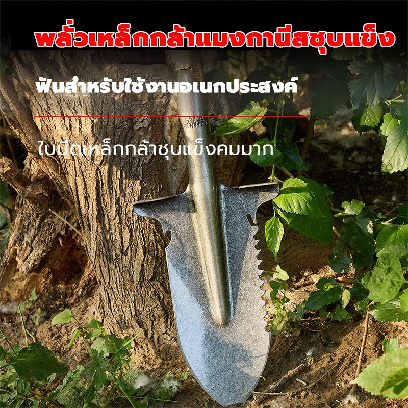 ราคาขายส่ง！พลั่วเหล็ก พลั่วขุดดิน จอบถากหญ้า เสียมขุดดิน พลั่วตักดิน แข็งแรง ทนใช้ พลั่วแซะหญ้า พลั่วสนาม จอบถากหญ้าคมๆ - รูปที่ 2