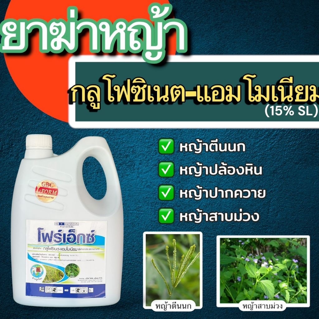 โฟร์เอ็กซ์-กลูโฟซิเนต แอมโมเนียม 15" สารกำจัดวัชพืชแบบไม่เลือกทำลายใช้กำจัดวัชพืชทั้งประเภทใบแคบและใบกว้าง