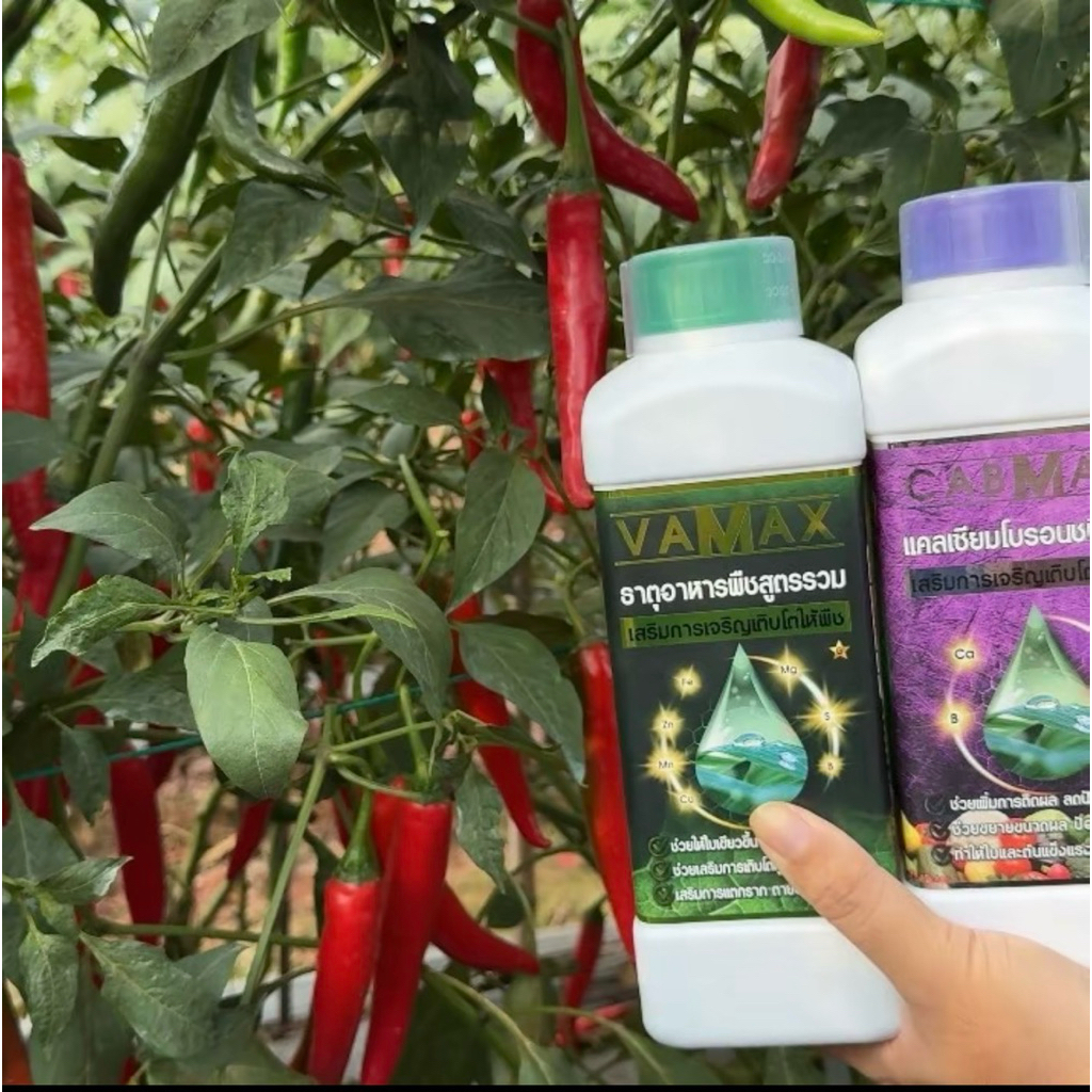 [1แถม1] CabMax+VaMax แคลเซียมโบรอนเข้มข้ม แถม ปุ๋ยธาตุรวม ราคาพิเศษ - 1