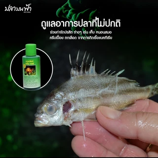 Diamond มาลาไคท์ จัดการน้ำในตู้ปลาเมื่อเปลี่ยนน้ำใหม่ เคลื่อนย้ายปลา สำหรับปลาสวยงาม ช่วยให้การดูแลปลาของคุณง่ายขึ้น