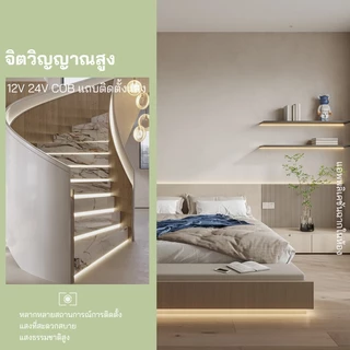 แถบไฟ LED COB สว่างมาก ไฟเส้นต่อเนื่องไร้รอยต่อ 12V 24V Tapeติดเองได้ ตกแต่งตู้โชว์ ร้านค้า บ้าน