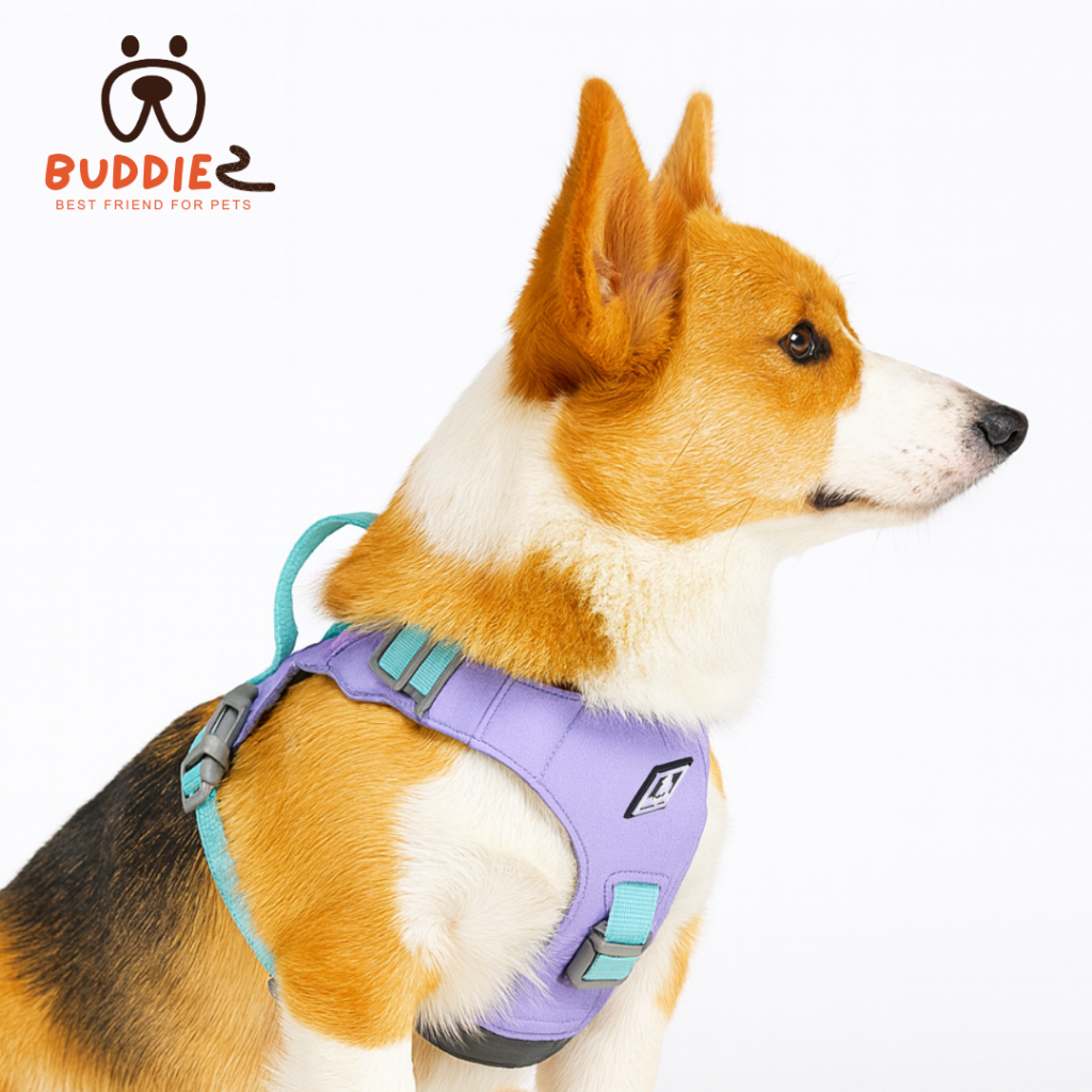 Buddiez สายรัดอก harness น้องหมา น้องแมว ผ้าโพลีเอสเตอร์ กันน้ำ กันขีดข่วน ระบายอากาศดี ปรับขนาดได้ สวมใส่ง่าย สีพาสเทล รูปที่ 7
