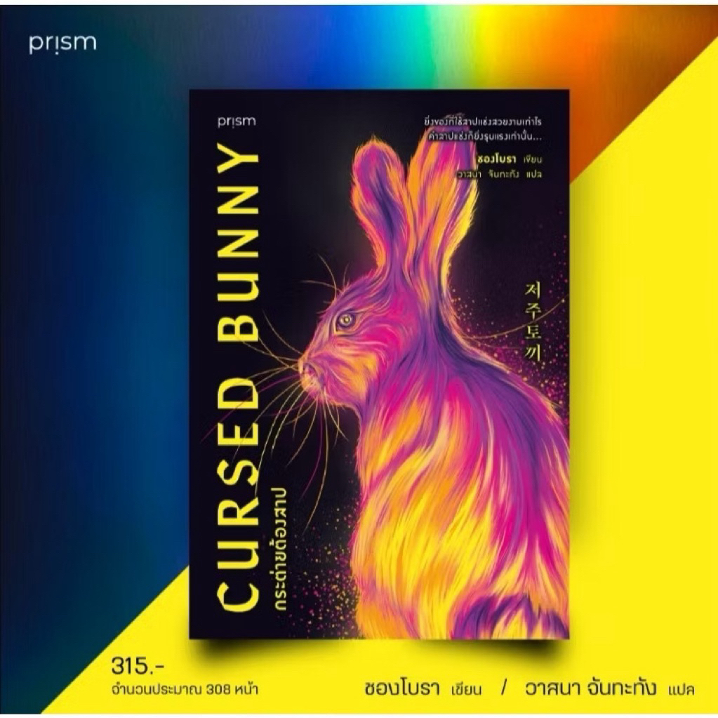 นิยายเรื่อง Cursed Bunny กระต่ายต้องสาป พร้อมส่ง *มือ2* สภาพ 99%