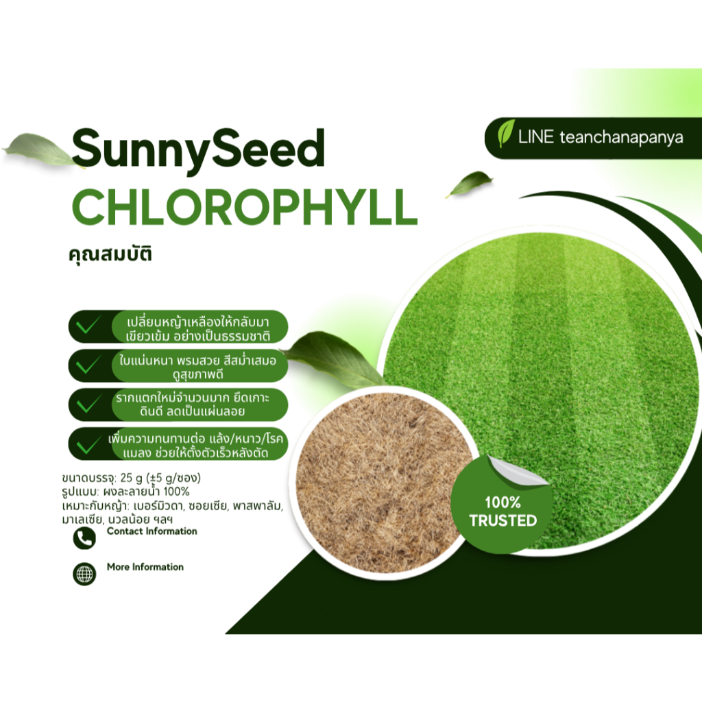 ปุ๋ยผสมน้ำ เร่งหญ้าเขียว โตเร็ว รากแตกไว รักษาหญ้าตาย ด้วย Chlorophyll จาก Sunnyseeds
