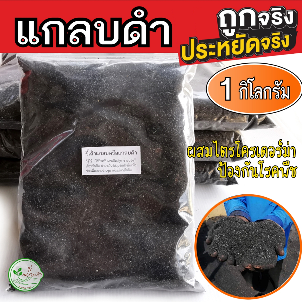 แกลบดำ แกลบเผา ผสมเชื้อไตรโคเดอร์ม่า ขนาด 1 กิโล ขี้เถ้าแกลบ แกลบดำล้วน ใช้ผสมดินเพาะปลูก