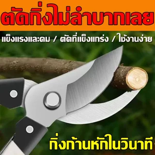✂จัดส่งภายใน24 ชั่วโมง⏳ กรรไกรตัดกิ่งไม้ กรรไกรแต่งกิ่ง ✄ SK5 คม ทน กรรไกรสแตนเลส กรรไกรสำหรับตัดแต่งกิ่งไม้ ดอกไม้