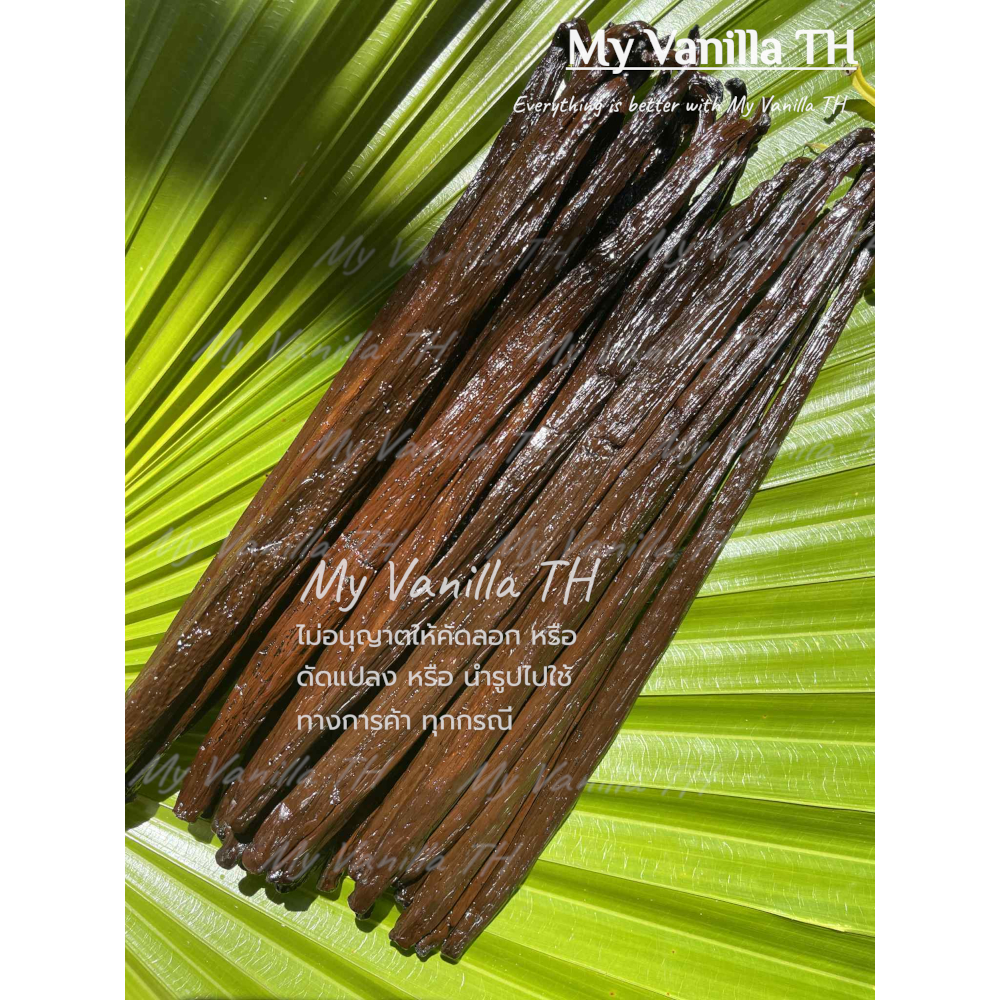 ฝักวานิลลาพันธุ์มาดากัสการ์ จาก เกาะซูลาเวซี มี Cert.**เกรดA 18-22cm** 5กรัม+ (Vanilla bean) ฝักละ 9