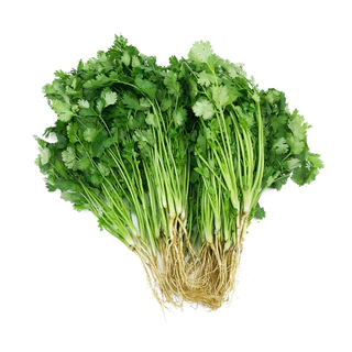 เมล็ดพันธุ์ ผักชีไทย Thai Coriander Seed 1800 เมล็ด คุณภาพดี ของแท้ 100%