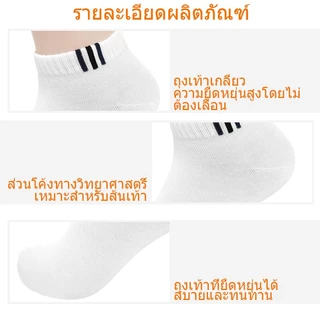 [ซื้อ 12คู่ แถม 12คู่] ถุงเท้าแฟชั่น ถุงเท้าสีพื้ ข้อสั้น ใส่ได้ทั้งหญิง-ชาย (ราคา ต่อ 24คู่ )