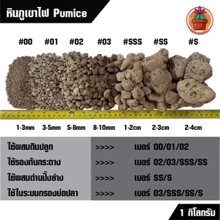PPM หินภูเขาไฟ พัมมิส (Pumice) อินโดนีเซียแท้ เกรดพรีเมียม ระบายน้ำดีเยี่ยม แพ็ค 1 กิโลกรัม