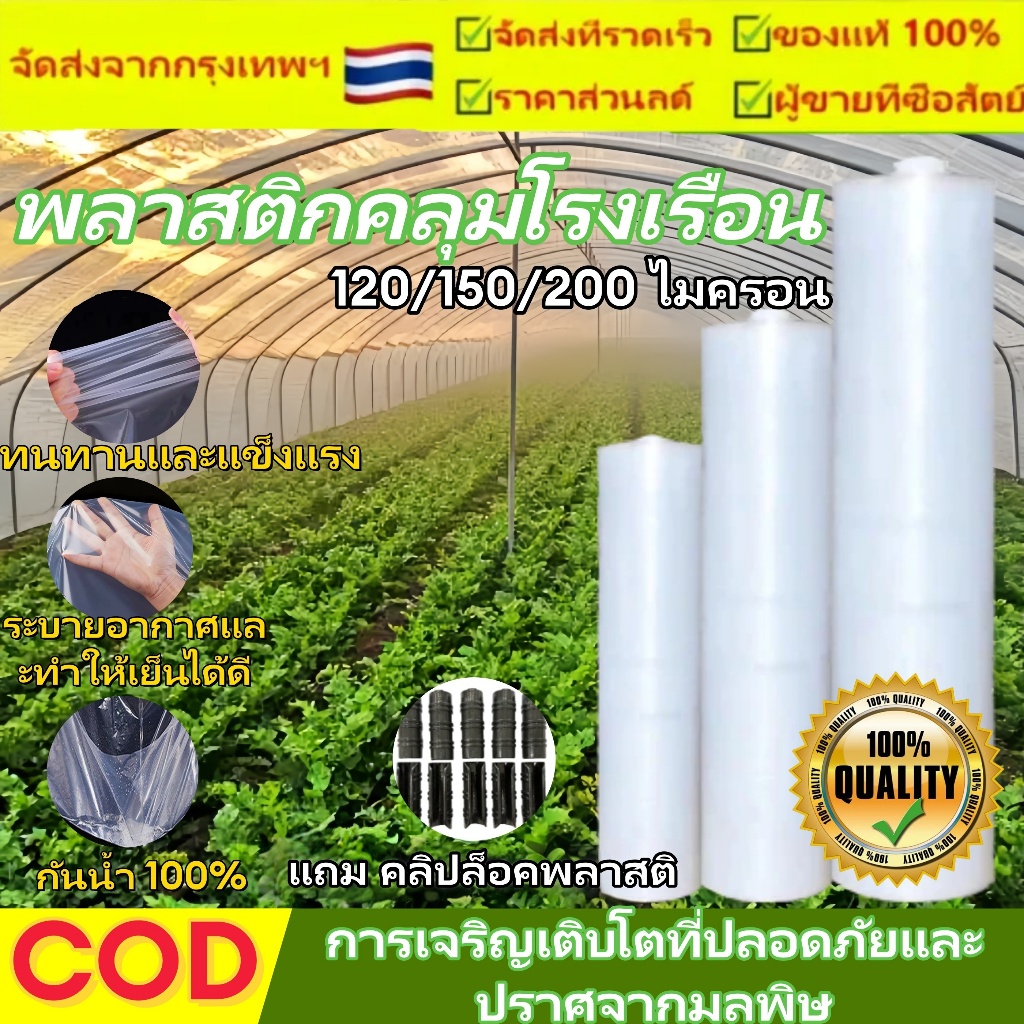 พลาสติกคลุมโรงเรือน Greenhouse PE หนา 120/150/200 ไมครอน UV7% ขนาดตามสั่ง