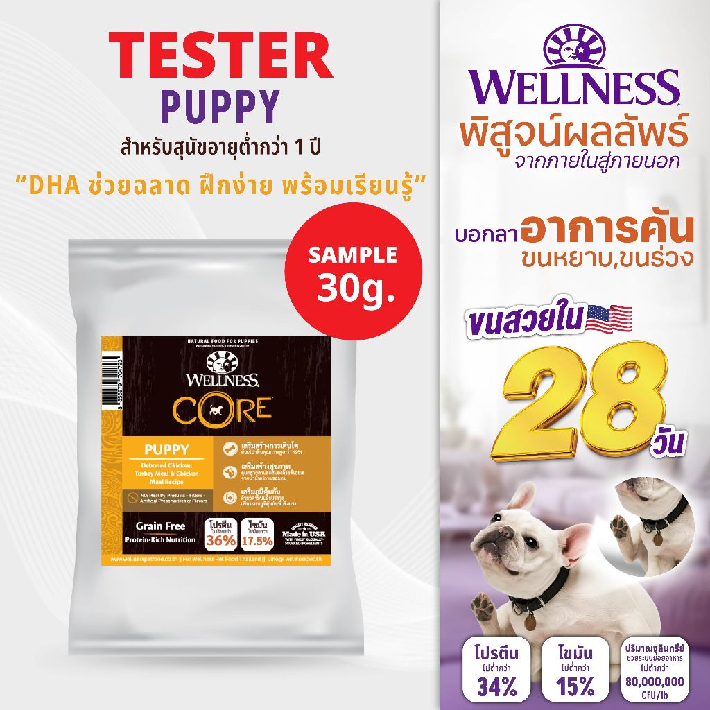 SAMPLE อาหารสุนัข WELLNESS CORE:Puppy (30g)