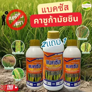 แบ็คซัส สารคาซูกามัยซิน ได้ทั้งแบคทีเรียและเชื้อรา ป้องกันและรักษาโรคข้าวสำคัญ เช่นโรคขอบใบแห้งโรค ใบขีด ใบจุด เมล็ดด่าง