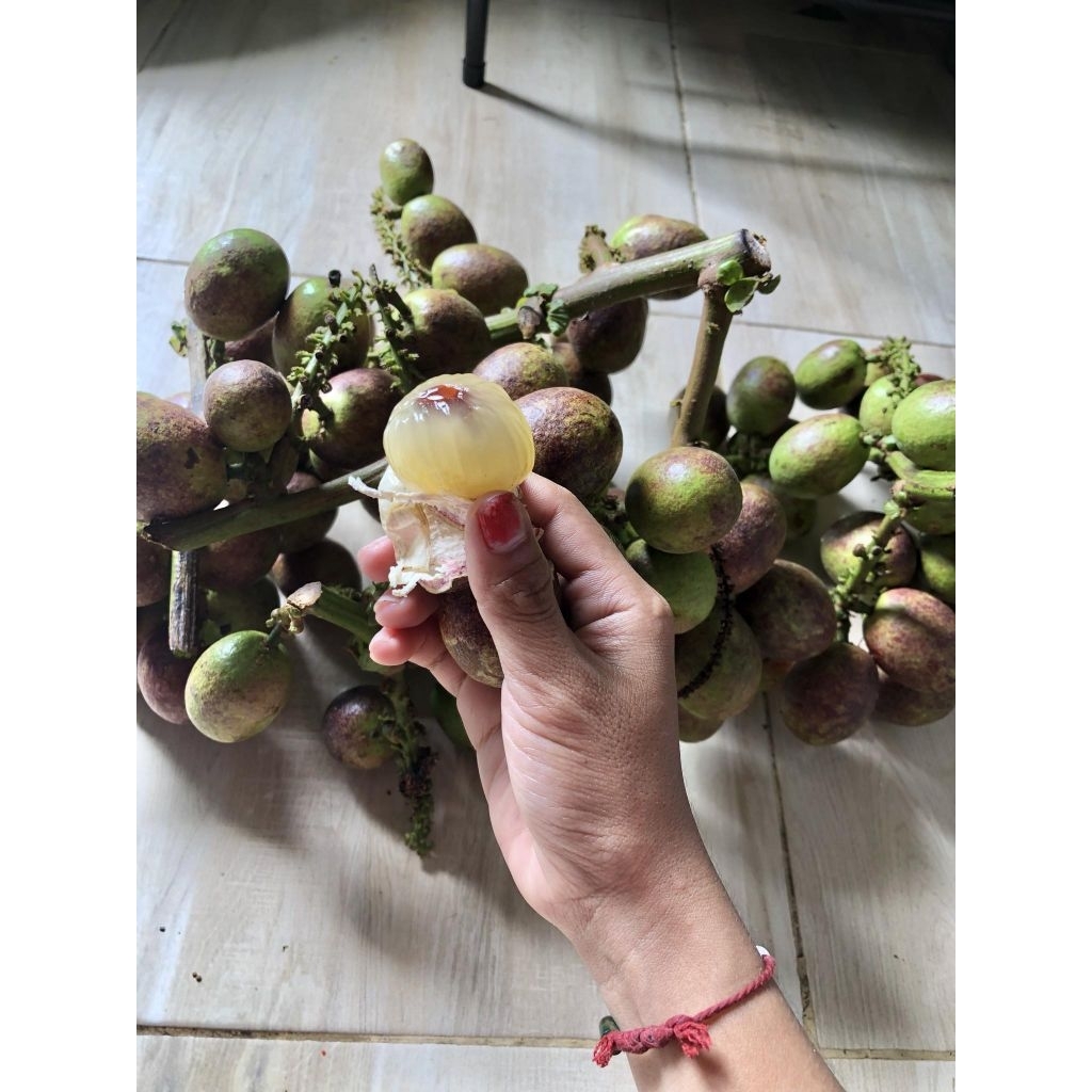 ุลำไย คริสตัล หวาน ขนาด500กรัม(สุ่มสี)