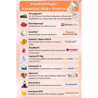 [แพค 7 ซอง] Essential SKN+ GloVite Mixed Berry Plant Protein โปรตีนพืช รสเบอร์รีรวม แบบซอง