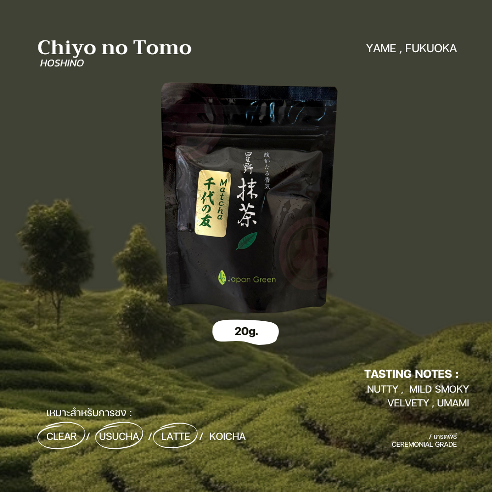 มัทฉะเกรดพิธี "Chiyo no Tomo" - HOSHINO SEICHAEN
