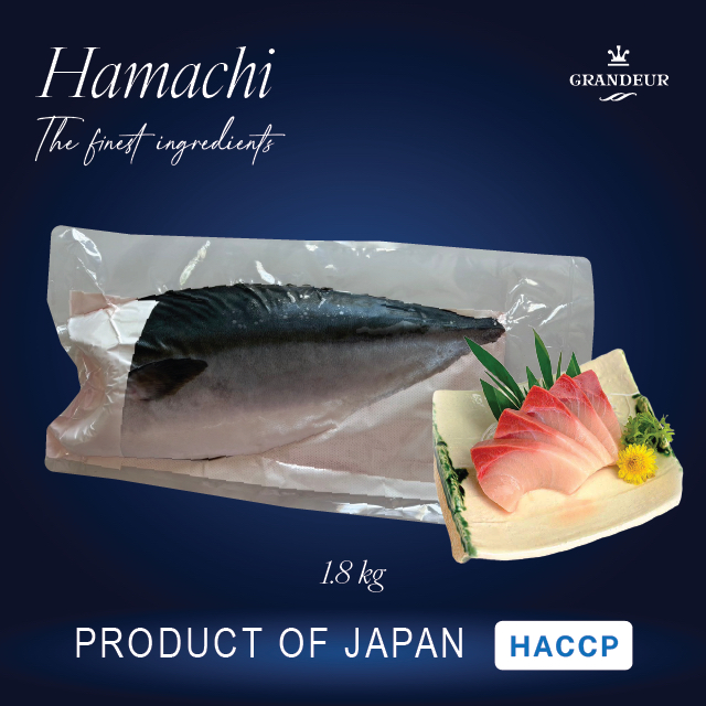 Hamachi ปลาฮามาจิ ส่งตรงจากทะเล  เกรดOnsui พรีเมียม