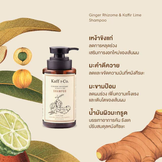 Kaff & Co. หนังศีรษะมัน ลีบแบน ฟื้นฟูผมร่วง แห้งเสีย แชมพูขิงและครีมนวดว่านหาง ขนาดเดินทาง 40 ml