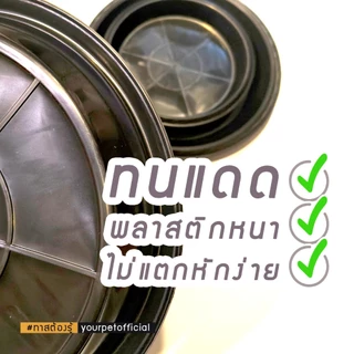 จานรองใต้กระถาง 4 นิ้ว 6 นิ้ว 8 นิ้ว 11 นิ้ว วัสดุแข็งแรง ทนทาน ดีไซน์ลึก ช่วยเก็บน้ำได้เยอะ ใช้งานได้ยาวนาน