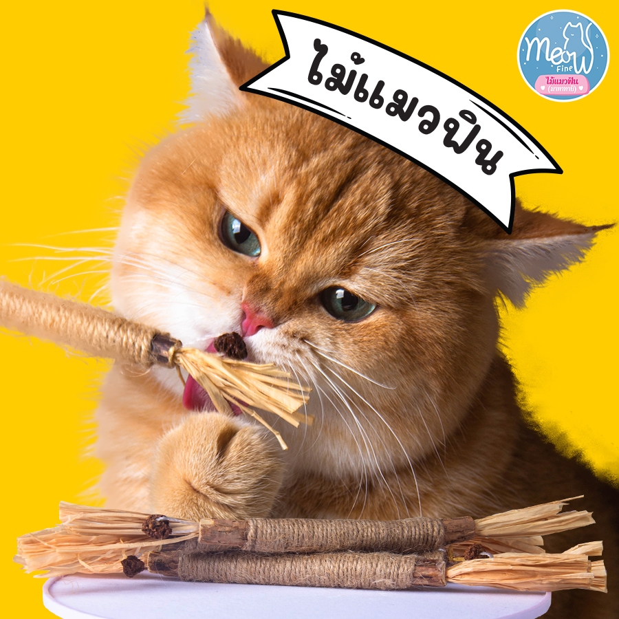 ไม้แมวฟิน Meow Fine จากธรรมชาติ ไม้มาทาทาบิ ขัดฟัน น้องเหมียวแฮปปี้