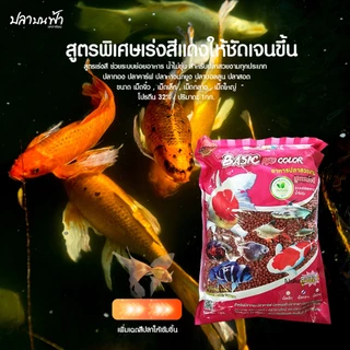 อาหารปลาโอกิโกะ เบสิค (Okiko Basic) ขนาด 1 กก. สำหรับปลาสวยงาม ปลาทอง ปลาหมอ ปลาคาร์ป