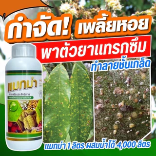 แมกม่า 1 ลิตร สารเสริมฤทธิ์
