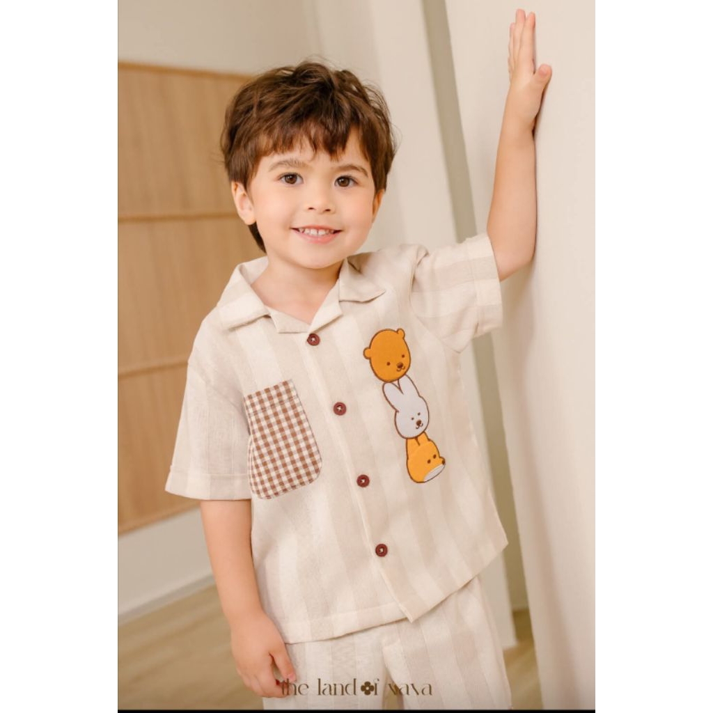 The Land of VAVA : Natural ลูกชาย