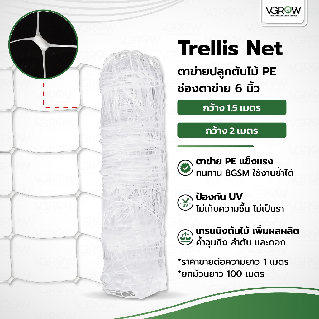 Trellis Net ตาข่ายปลูกต้นไม้ PE กว้าง 1.5/2 เมตร ช่อง 6 นิ้ว Scrog Net ตาข่ายเทรนนิ่ง ตาข่ายพลาสติก