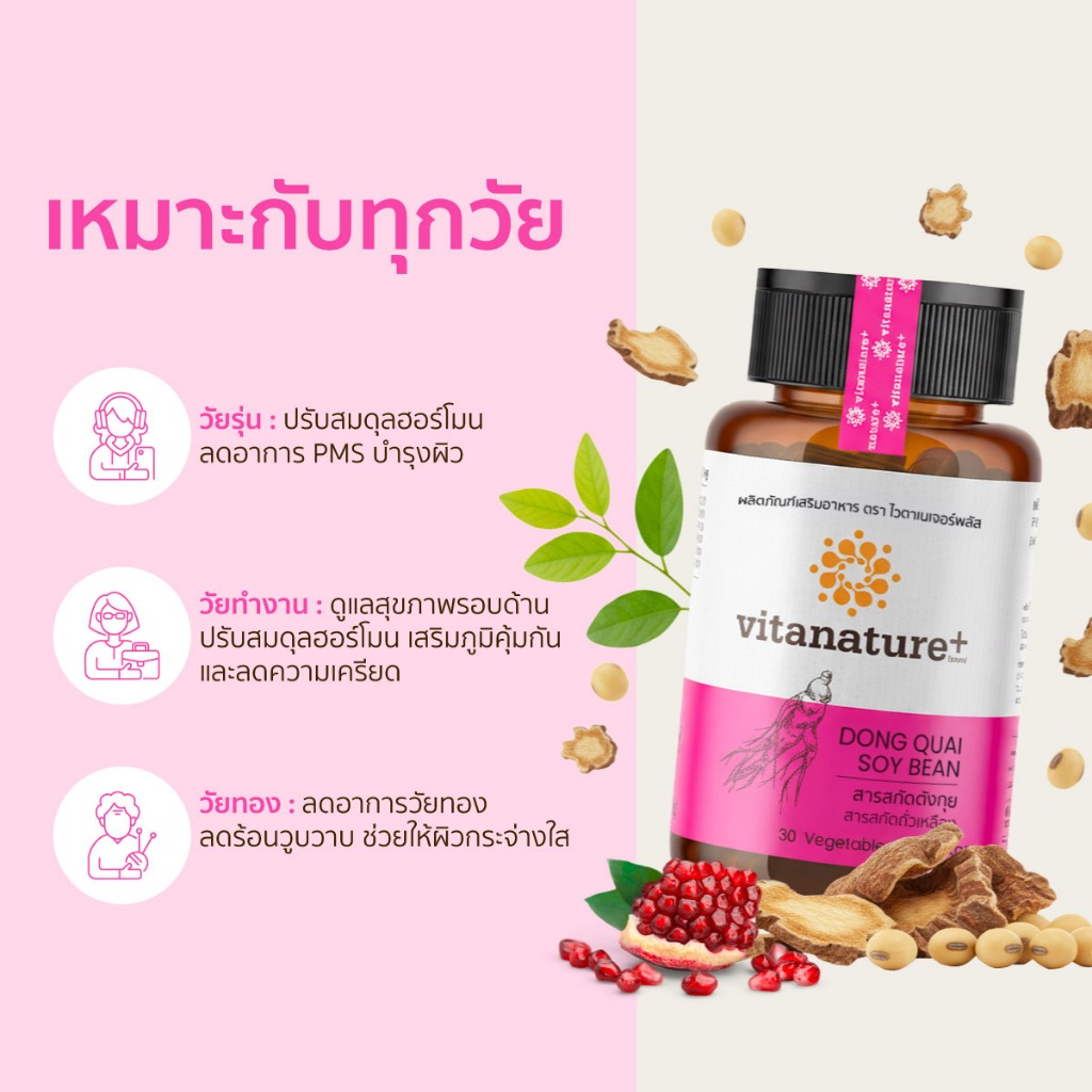 Vitanature+ Dong Quai Extract with Soy Lecithin 1 กระปุก สารสกัดตังกุย ผสมเลซิตินจากถั่วเหลือง - รูปที่ 3