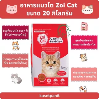 Zoi Cat อาหารแมวซอยแคท รวมรส ขนาด 20 กิโลกรัม