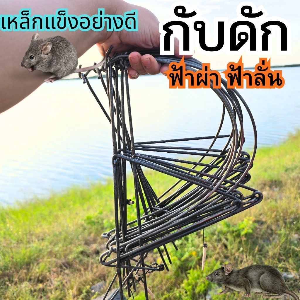 ส่งเร็วมาก⚡️กับดักหนูฟ้าผ่า ฟ้าลั่นกับดักเหล็ก ดักหนูได้ทุกชนิด ผลิตจากเหล็กสปริงหนา 4มม.