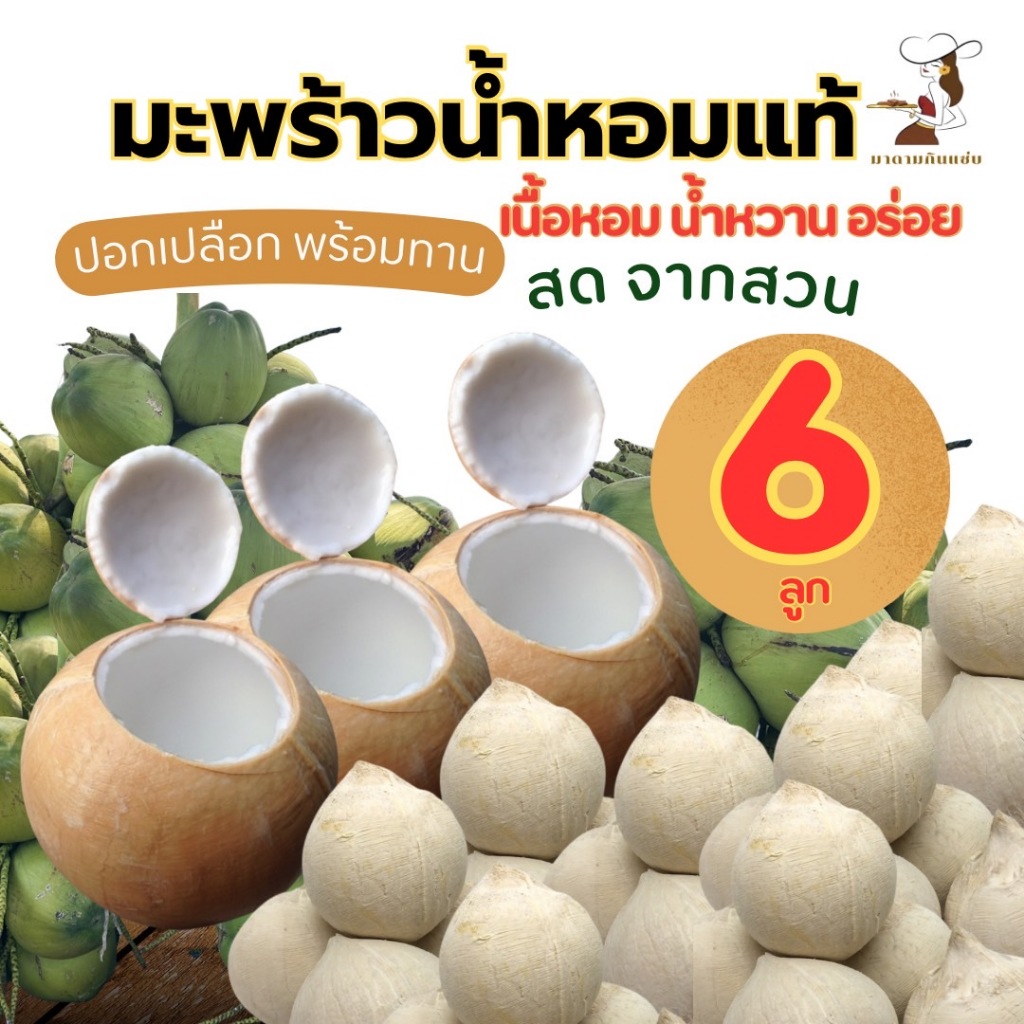 มะพร้าวน้ำหอมสดแท้ ปอกเปลือก พร้อมทาน ใหม่สดจากสวน กินน้ำ เนื้อชั้นครึ่ง-2 ชั้น หวาน หอม อร่อย คละไซส์
